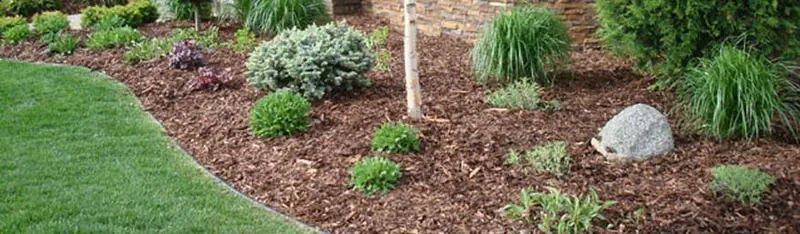 Landscaped garden with a curved lawn, shrubs and mulch from Aguinaga Green