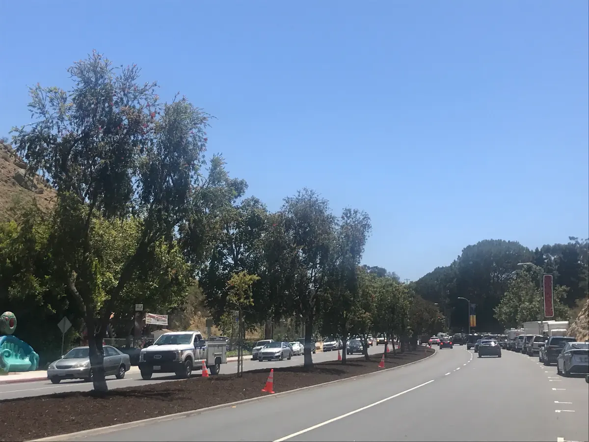 Landscaping from Aguinaga Green’s fire-smart city news gallery