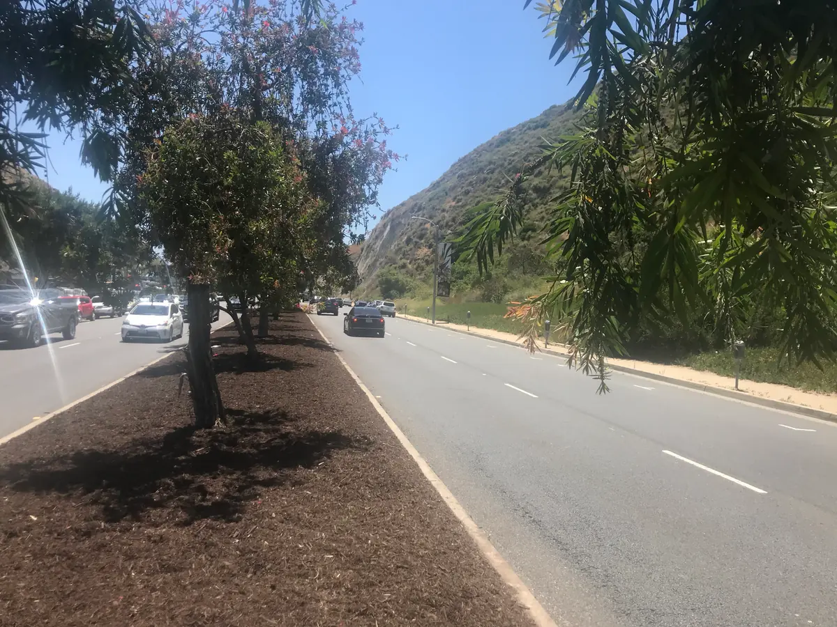 Landscaping from Aguinaga Green’s fire-smart city news gallery